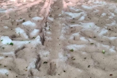 448278121_478980291159893_1629057687664087711_n