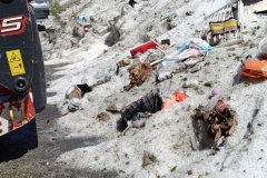 4cc1988c-c9ad-4d3a-926c-df12a1dfe24a