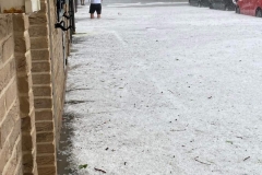 FB_IMG_1718301839992