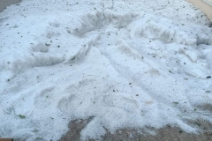 FB_IMG_1718456992512