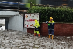 a1697b4e-9b0c-4ace-8302-ad034a556e84