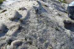 a5307eb9-1dbe-4e77-ac72-236fe675808b