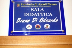 464815813_8612880498766268_5649646601214589794_n