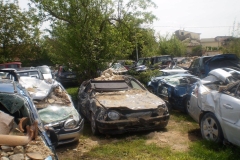 464861306_8612865358767782_2116168231578517256_n