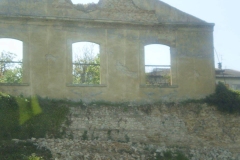 464923850_8612864158767902_6582973532210392442_n