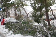 2012 - Emergenza neve P.S.E