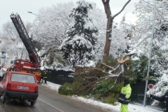 464810113_8612987788755539_5639301565070632011_n