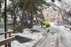 464810976_8612988028755515_5113273462236366334_n