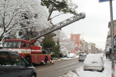 464830289_8612987785422206_2275114042872658743_n