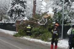 464859490_8612988005422184_3340367646801096589_n