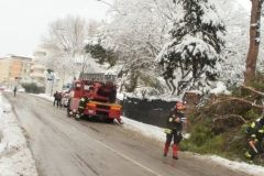 464910750_8612987795422205_2244344338295120067_n