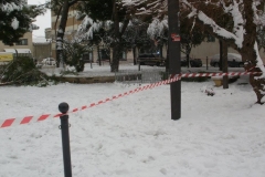 464932239_8612988465422138_1599112667161991331_n