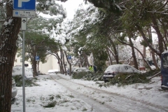 464933117_8612988022088849_8021423775909032036_n