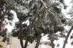 464992091_8612988262088825_5957712878177090309_n