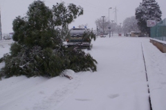 465015785_8612987542088897_8566250862577025223_n