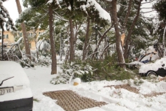 465016930_8612988265422158_3861796281229805625_n