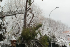 465119048_8612987798755538_5945209256564310762_n