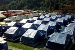 14479573_10202177974328738_5163476844676524965_n