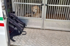 476949557_9080622258690113_6254998756705690895_n