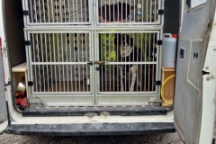 476987226_9080622058690133_5974664403031893226_n