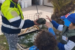 481145115_648340747557179_7519152428507002682_n