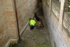 464861292_8612923332095318_2320851310337466966_n