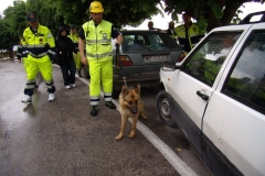 464906641_8612923312095320_1449673064481530018_n-1