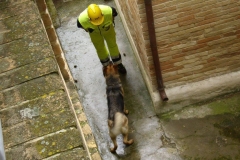 464910042_8612923325428652_1174508065335765183_n